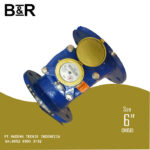 Water Meter BR 6 Inch DN150