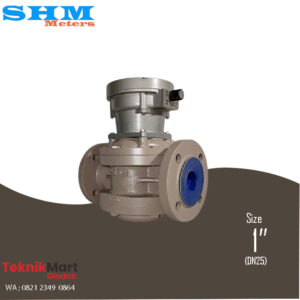 Flow Meter SHM Roots Analog 1 Inch DN25